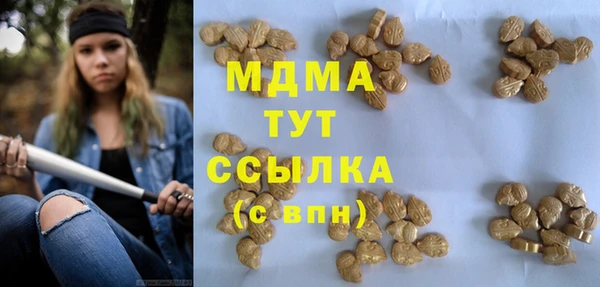 ешки Аркадак