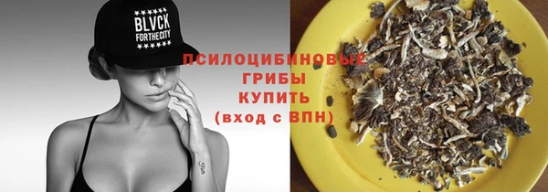 таблы Няндома