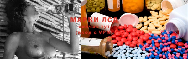 ешки Аркадак